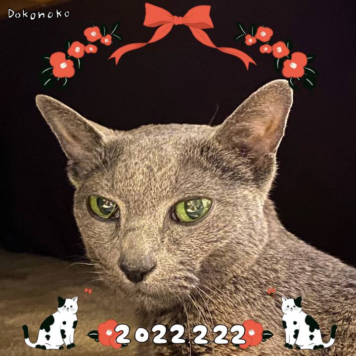 5f153347 df51 45de b8a2 e1885887258b 1645496720089