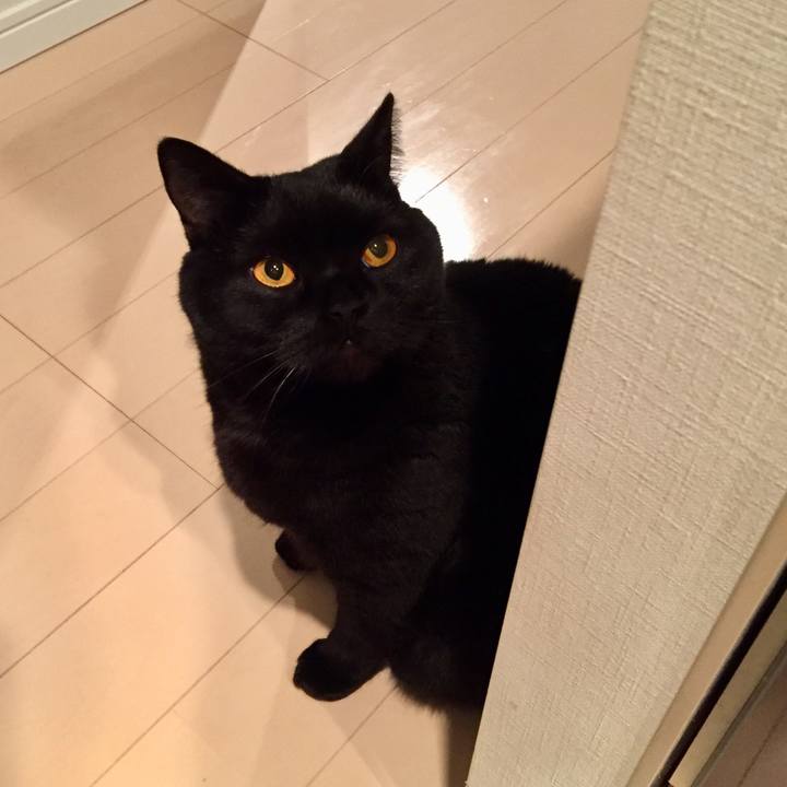 5f15826f bceb 4667 8b9f 7ce4470f01ef 1580817907552