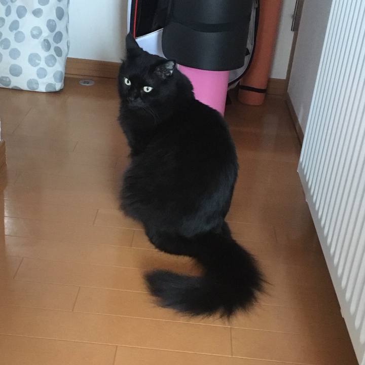 5f158d41 71a0 4408 90d5 c750440a4d2f 1539222834078