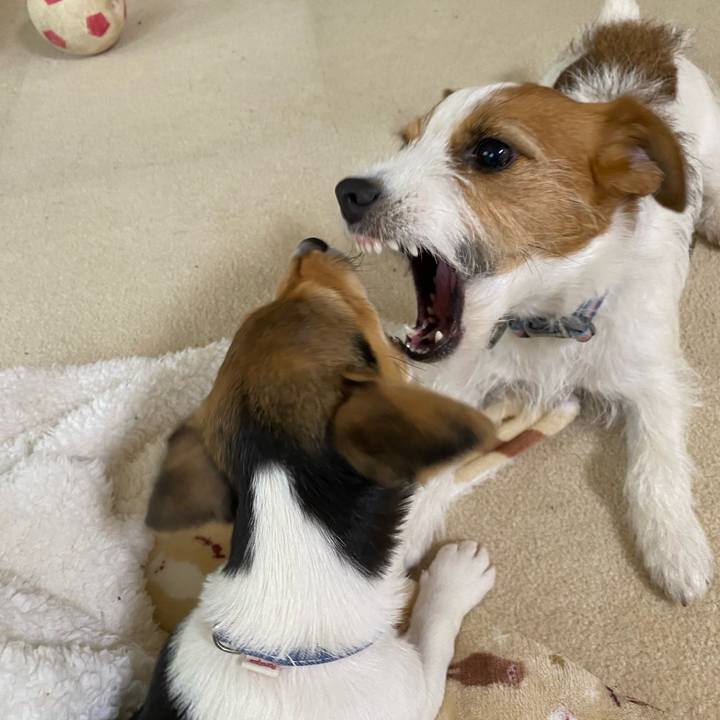 5f15c75e 9bd1 4cf9 8e84 d3effdb15674 1745127817319