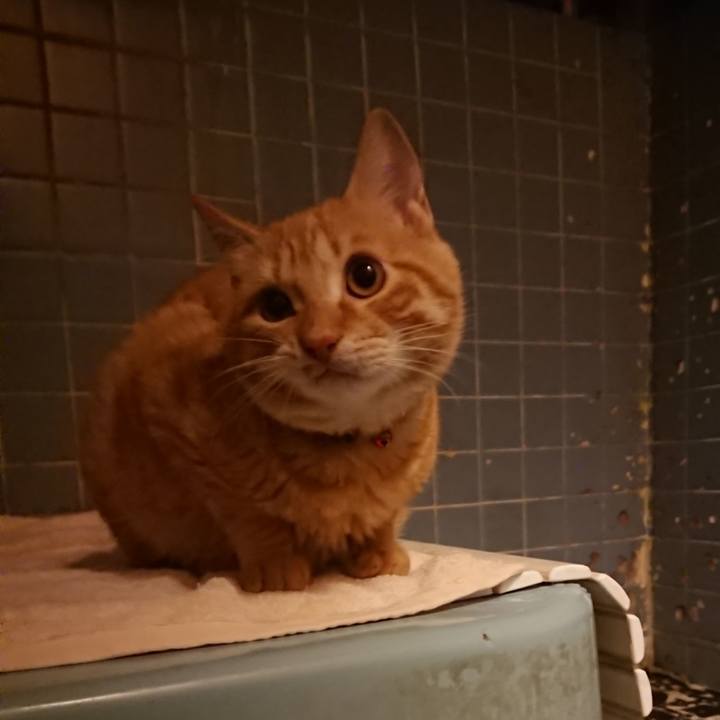 5f15f37d 5b7a 4ac7 811b 01d293d21f6a 1637833331870