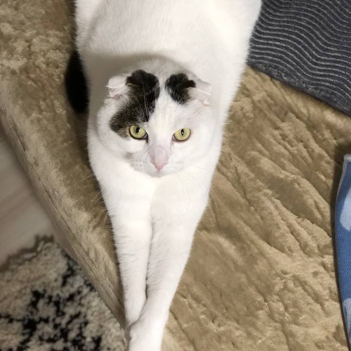 5f160111 7b21 4bae bd9a 96e49f1350b5 1556713298675