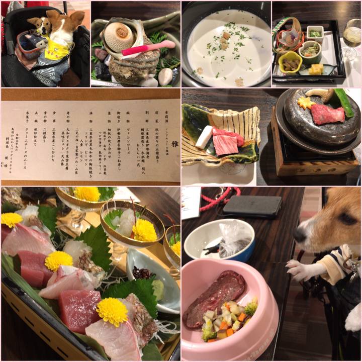 5f161d6a d743 44f3 86a3 f9bb52fe49d0 1567855571438