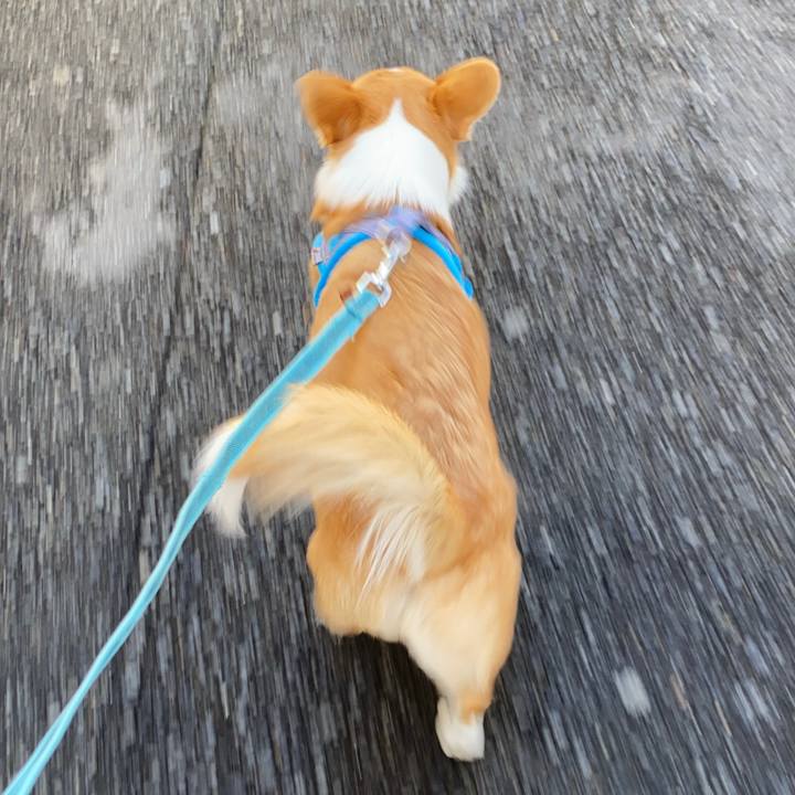 5f16353e 8acd 440a ae3c 24fc747486d5 1611565071867