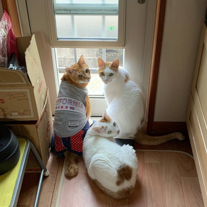 5f163e46 e6fc 4b97 9776 32a8088d5965 1618632566671