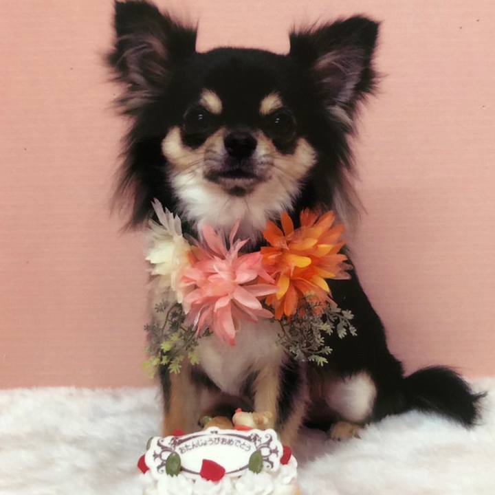 5f16406f 6358 4e20 82e4 66ac1b8e75b2 1560483398248