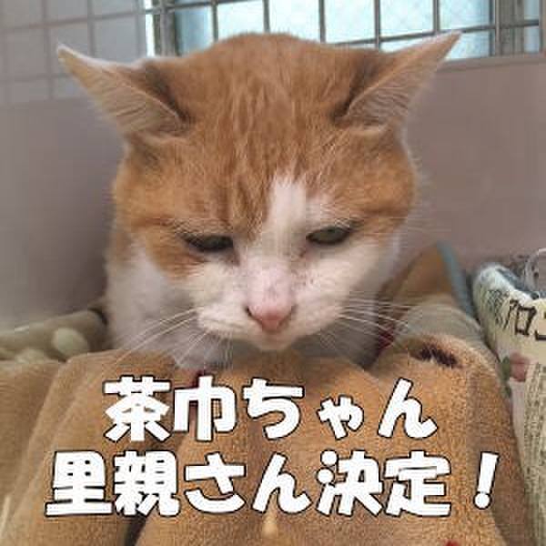 5f165d97 f891 4e3e a4fa 1b8c9636a055 1523522786398