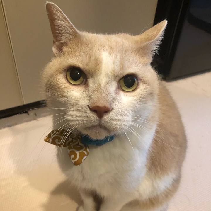 5f1661f2 ff65 4fff bd3e 456271416944 1602196332154