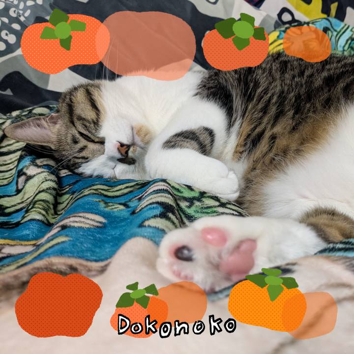 5f16c840 297d 49fd af32 71dbc11c0ee2 1761567157242