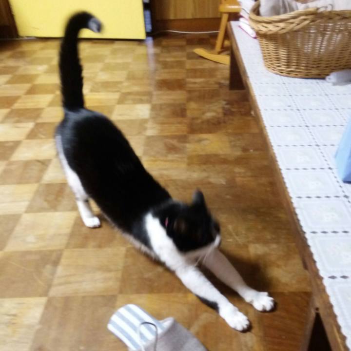 5f16c941 743a 44bd b727 2b625bcce0fa 1512091193851