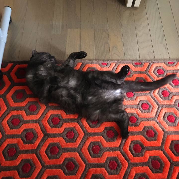 5f16e078 3ea5 4fc8 a527 c4d07b616dc4 1535516688181