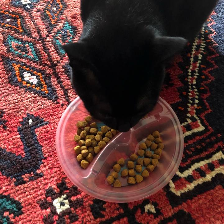 5f17193d 4d9e 4b77 a195 37ee5c034982 1562976263442