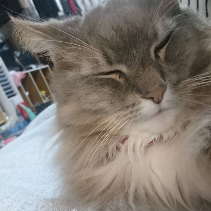 5f173702 2a3d 4f9a 9f50 68e08568c325 1764708939335