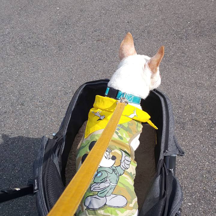 5f1740c5 aedf 4be6 9c42 91346d1e17fb 1539743038921