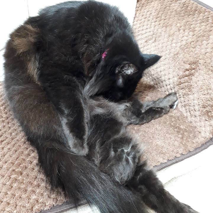 5f175a01 3195 40da 8f29 99586bd55004 1518726925455