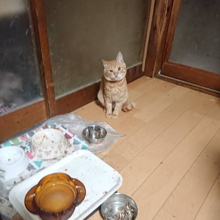 5f1767e9 b0bb 449b 9a56 7dd4a753f47f 1637874215150