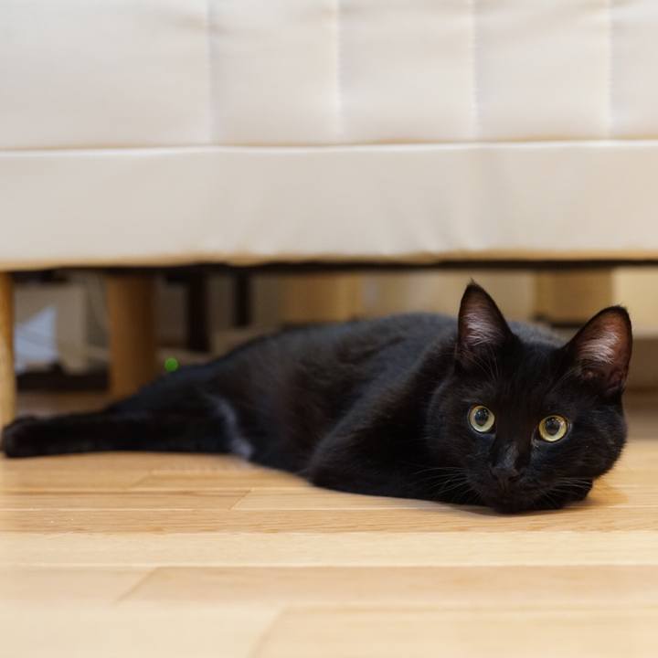 5f178546 49d6 4755 aafc c2e98354123c 1532316309357