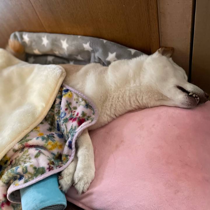 5f178e82 ce91 4320 ac23 75f9ca7f88a5 1646664430165