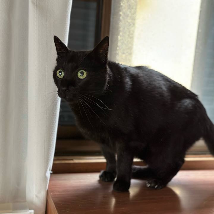 5f179ca5 eb0c 4fbd 98d7 aefba444e7ee 1680832227019