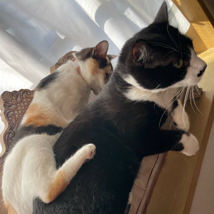 5f17c665 f834 4e35 ad0c 2d21e170935e 1678144758020