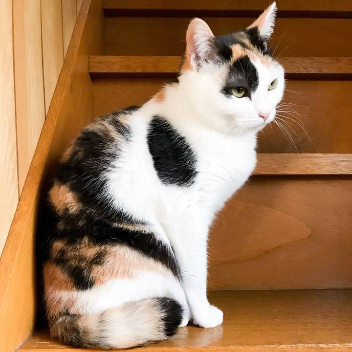 5f17cf49 87ba 4fbc 9d37 ce4daa426a36 1522977341067