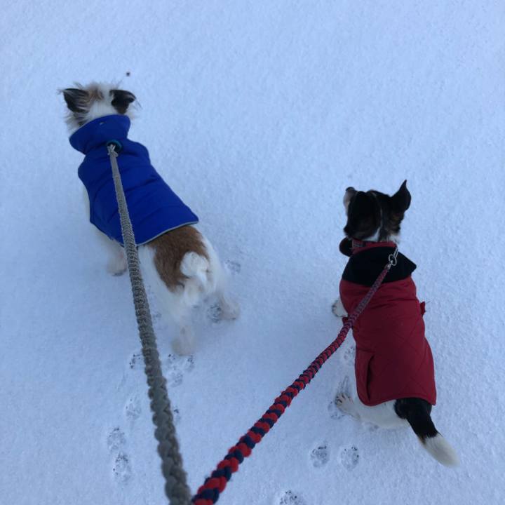 5f182bad 739b 41a2 9ec3 492db6179b17 1548029920572