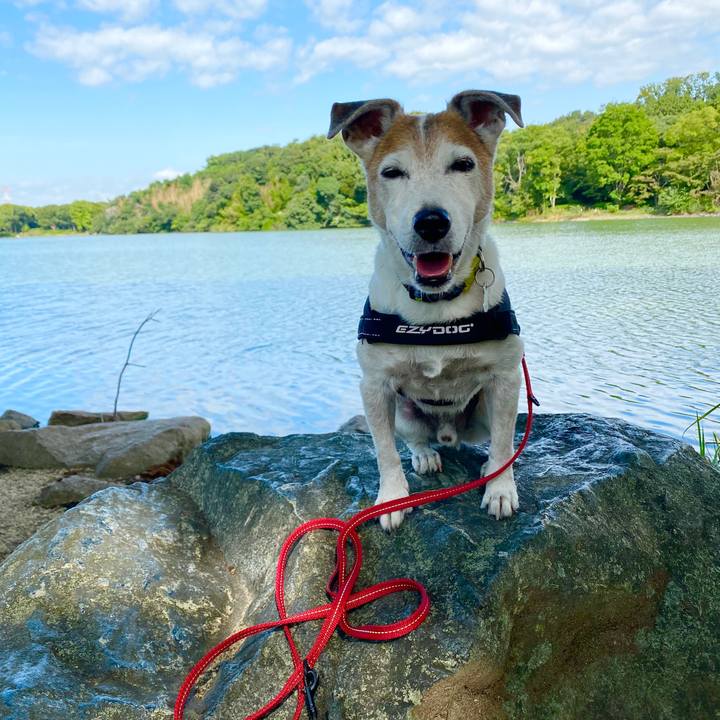 5f184391 fe1c 453b bdc0 8e24ca35f6e6 1601346561782