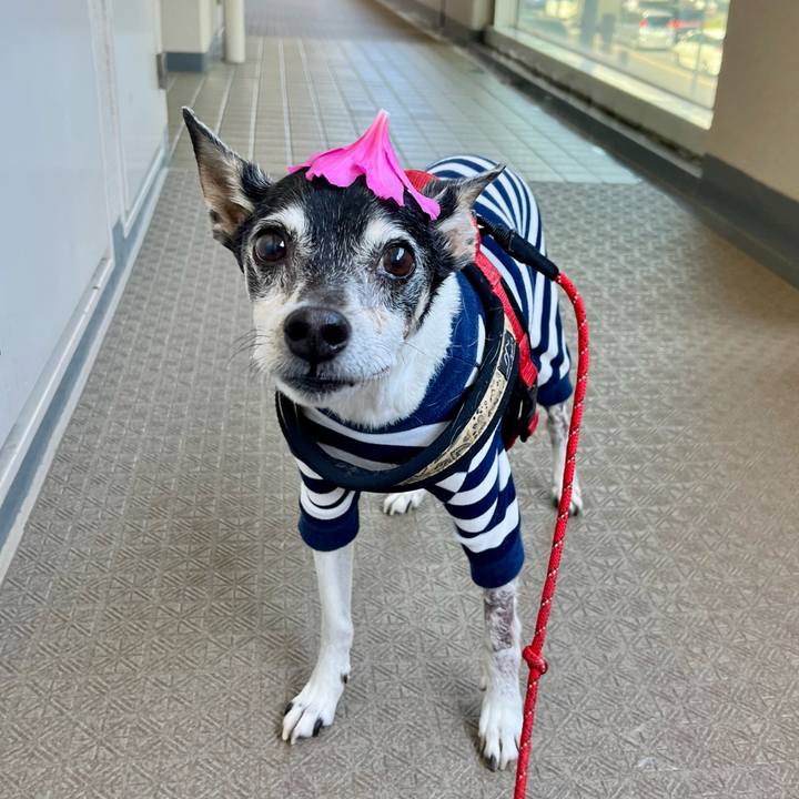 5f18837d f6dd 46ff b8db 1116a2b6ec5e 1651287130653