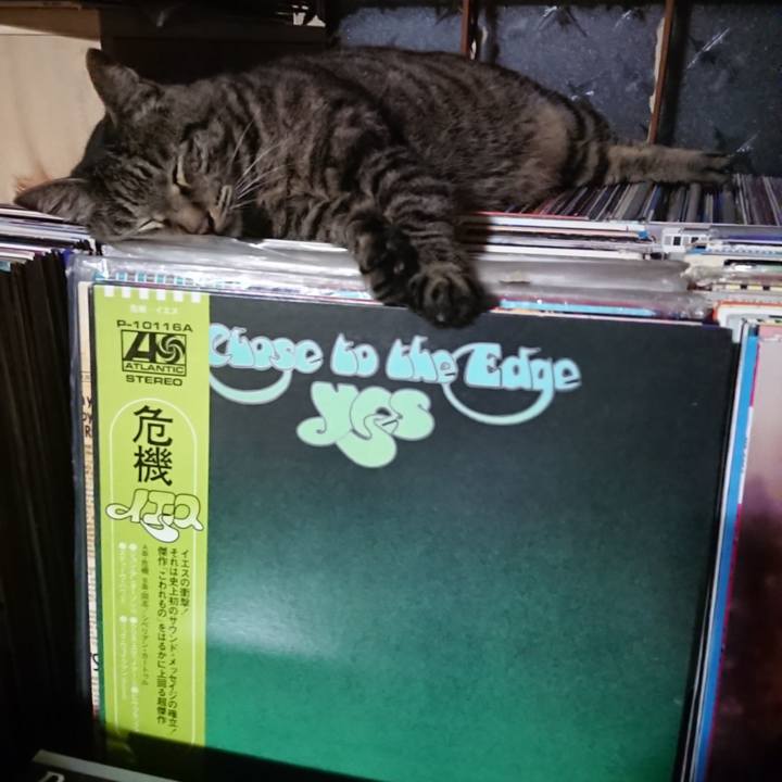 5f1899cd 028a 4f01 bdaf 745863b6f419 1656421268662