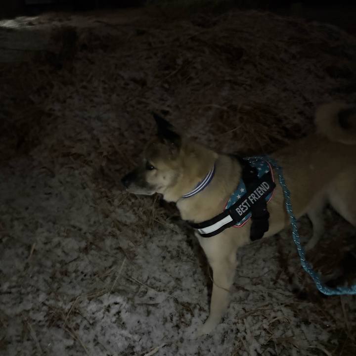 5f18a896 8634 4127 a538 be4c1d9c4c4f 1736427028444