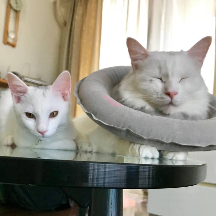 5f18f523 3deb 428b 93e1 b1ee6621e373 1570269881975