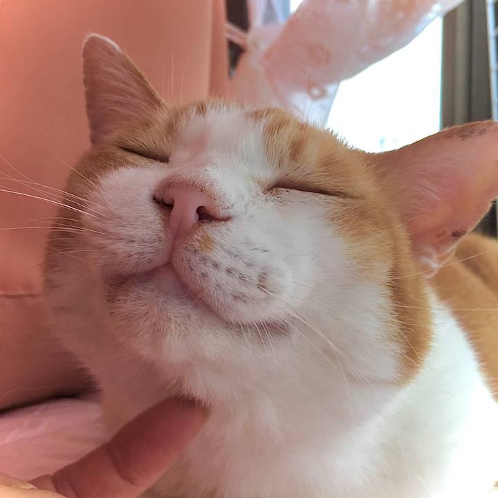 5f190710 f506 45f3 9b96 9206f1e9e1fc 1595754153790