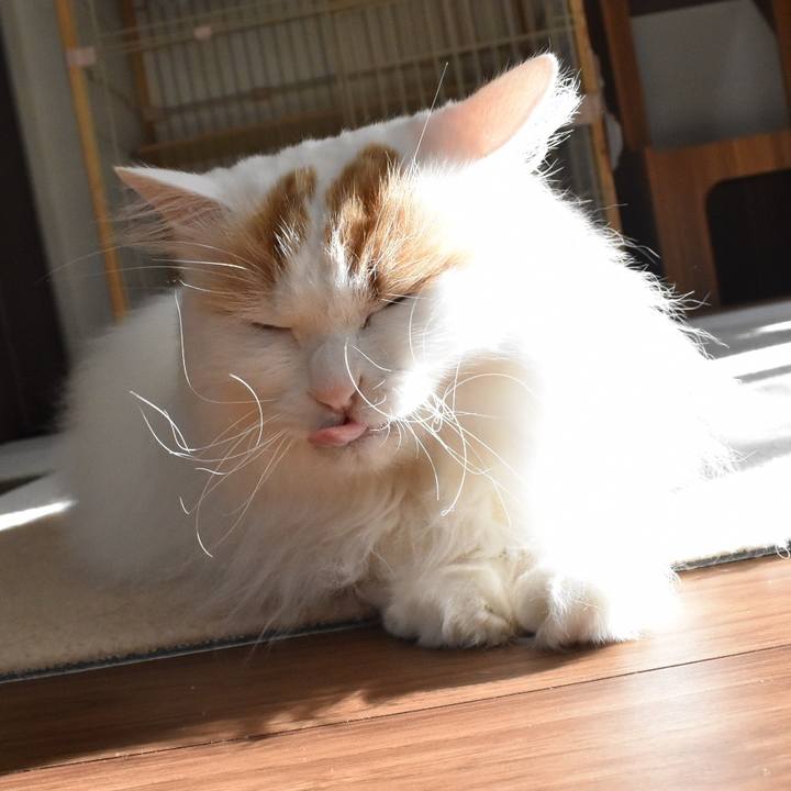 5f191514 84e5 4282 a1d4 e918f31b257d 1765589288164