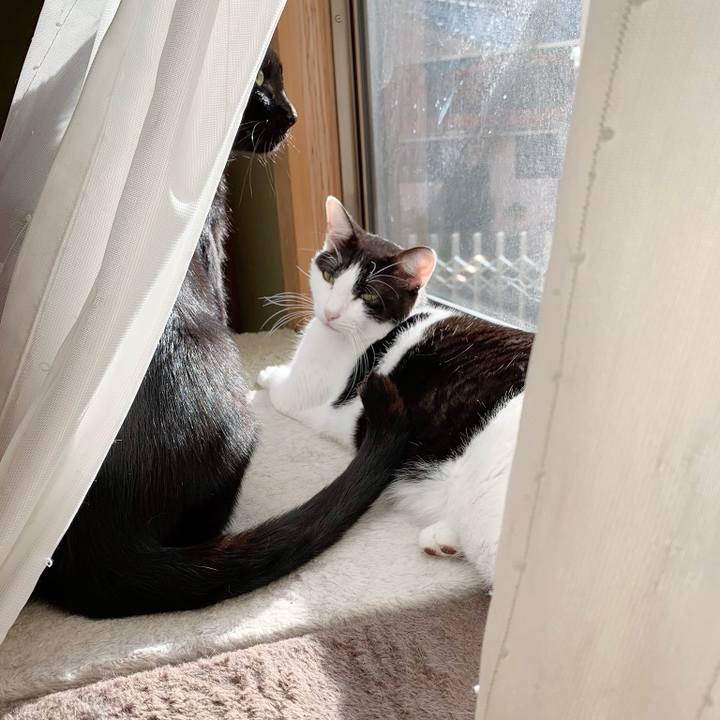 5f193839 b0fa 4984 ba01 01dbffbcfa0b 1540521832286