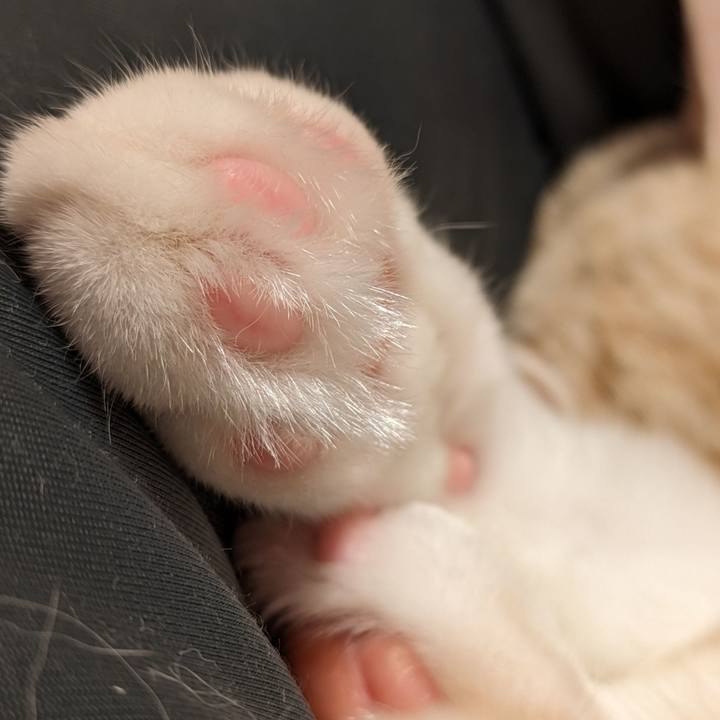 5f19e464 b33b 43e8 9002 fdb3918bc944 1691235880172