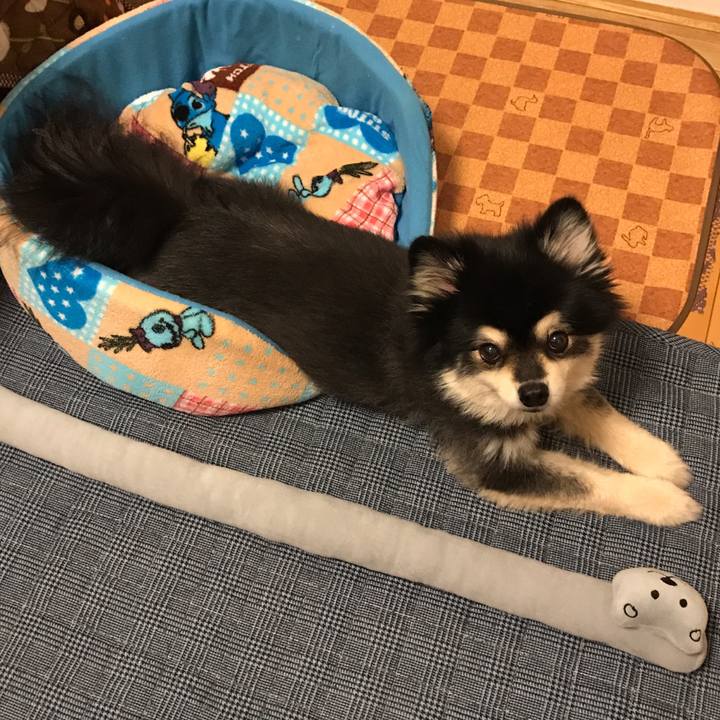 5f19ed47 a688 4ca8 93b6 10103369c62f 1548469489490