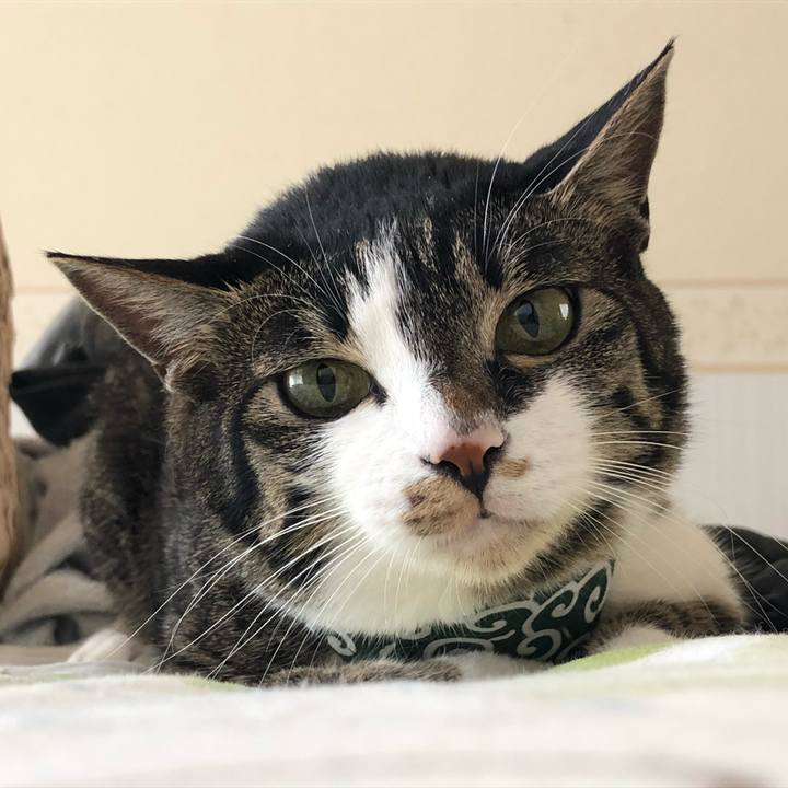 5f1a13a6 8890 4220 a642 c782b9c1f50a 1528383526937