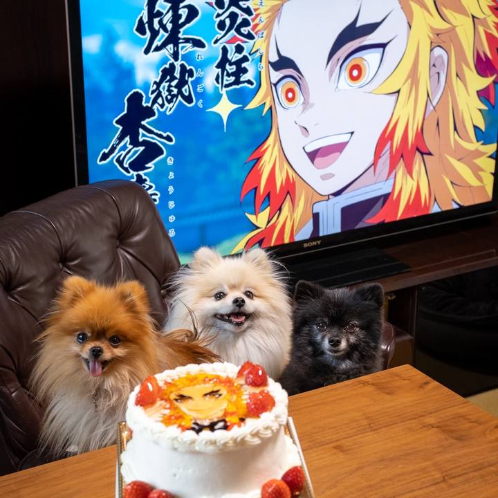 5f1a16f2 5412 4c1c 8ef8 be92d26d70a4 1621860836477