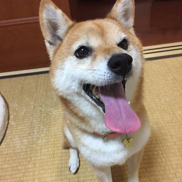 5f1a3e14 53f2 4dee ad33 9bac868802c3 1539238827558