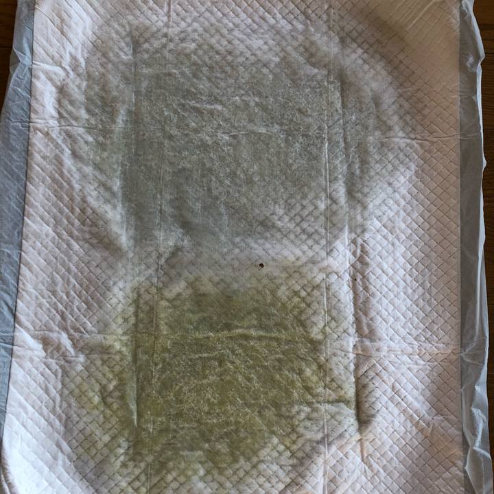 5f1a5d68 8b46 46f1 a99c 428b18a7d085 1560283657408