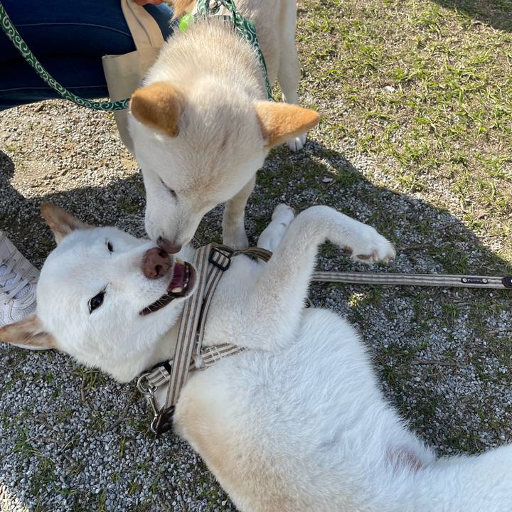 5f1a64da 223e 4d52 ad37 38166cf681cc 1648987035689