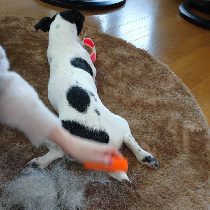 5f1a8956 bfc3 4d09 bc00 a5778a2fb87e 1578116496101