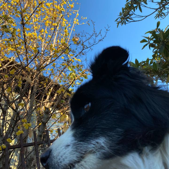 5f1aa545 a9c3 4f2a 9e29 24fa3114c37d 1642551883620