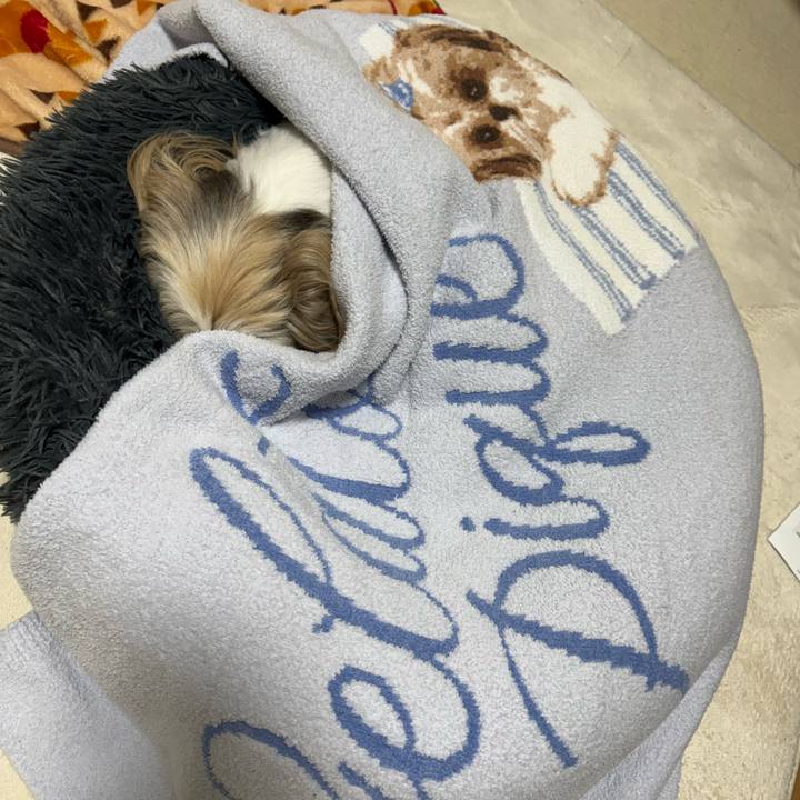 5f1aa595 e3de 4172 8956 e0733896c9ab 1763040774517