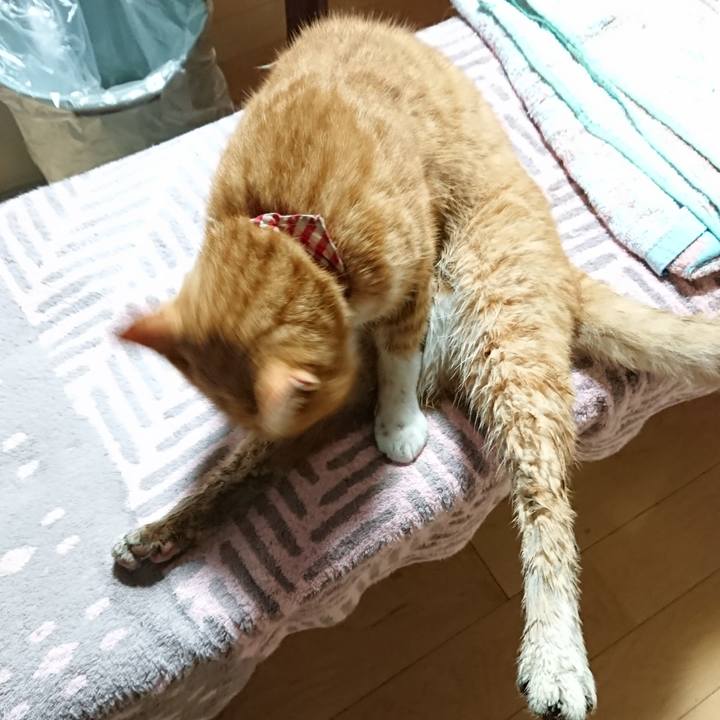 5f1aa805 412e 4920 b90b f7b0de0bade7 1602329068143