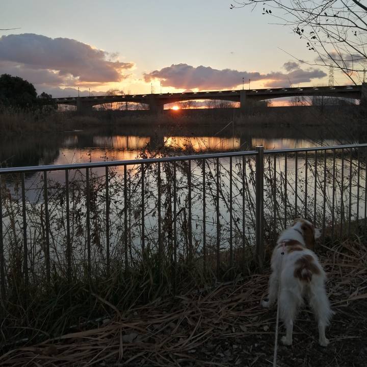 5f1aaf6c 3300 43d3 8cc0 580f76e4b915 1610282089559