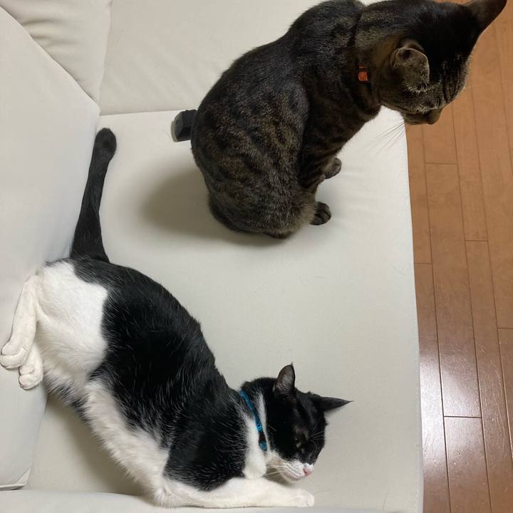 5f1b03fc dd9e 45f0 a0c4 7f344cd7d36c 1728196764282