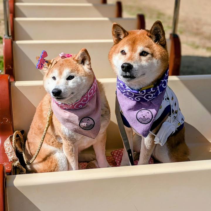 5f1b20f3 7d19 4a0f 9878 a8014662340a 1772516303532