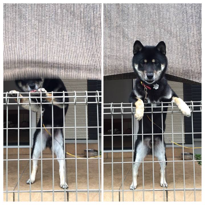 5f1b34e6 2329 4713 8364 131b8033215e 1525764507105