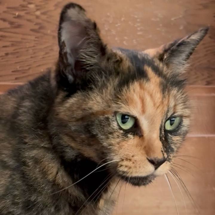 5f1b392a 4751 429e 9f1a b02226fb2cd3 1752633827177